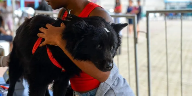 🐾 Castra Mais RJ retorna a Cabo Frio com castração gratuita de cães e gatos no Jardim Esperança