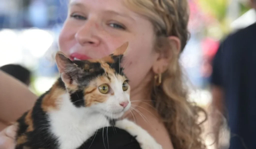 Maricá terá cadastro, RG Animal e microchipagem gratuita para cães e gatos em setembro
